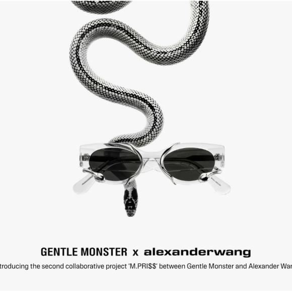 ALEXANDER WANG X GENTLE MONSTER Limited Edition - Picture 2 of 5